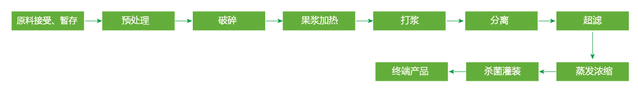 藍(lán)莓、草莓、桑葚濃縮汁